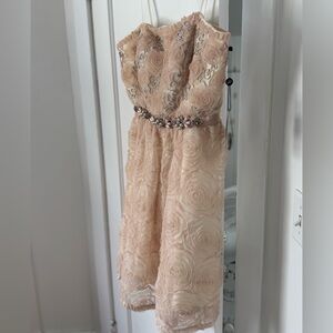 Adrianna Papell Formal Dress Sz 14